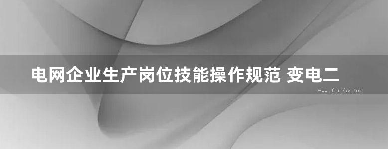 电网企业生产岗位技能操作规范 变电二次安装工